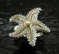 Star Fish Ring