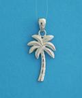 Silver Palm Tree