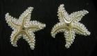 Silver Starfish Earrings