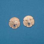 Sand Dollar Earrings